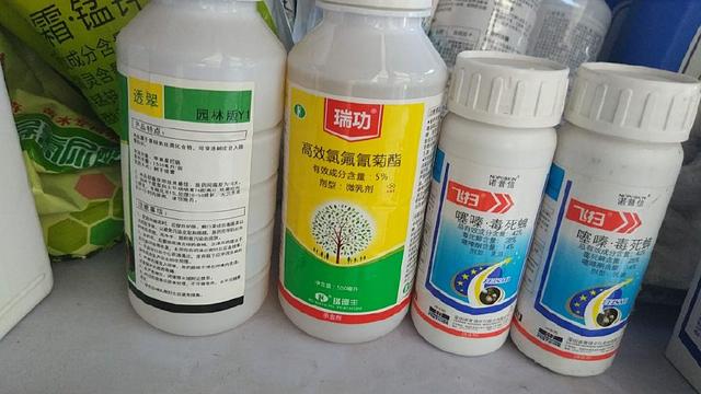 十月份園林植物病蟲害防治技術(shù)與秋冬季防寒保溫要點(diǎn)