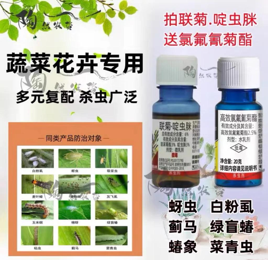 薊馬防治指南 輕松應(yīng)對(duì)植物蟲害！