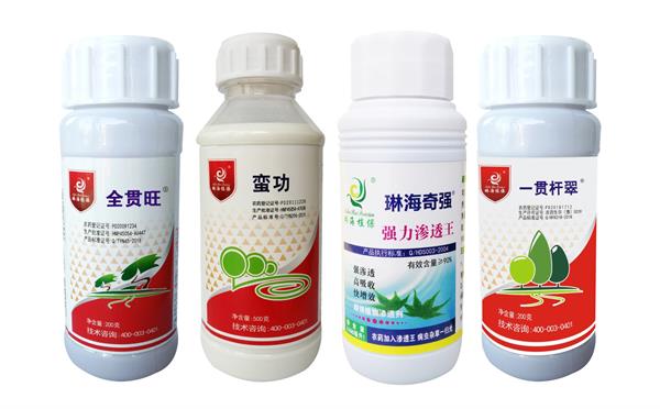 棕櫚紅棕象甲高工效防治服務全攻略 科學應對蟲害，守護移植植株健康