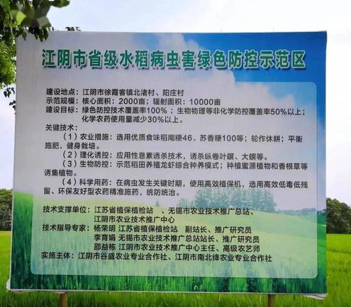 江陰市農(nóng)業(yè)農(nóng)村局 精準(zhǔn)施策，扎實(shí)做好水稻穗期病蟲害防治工作
