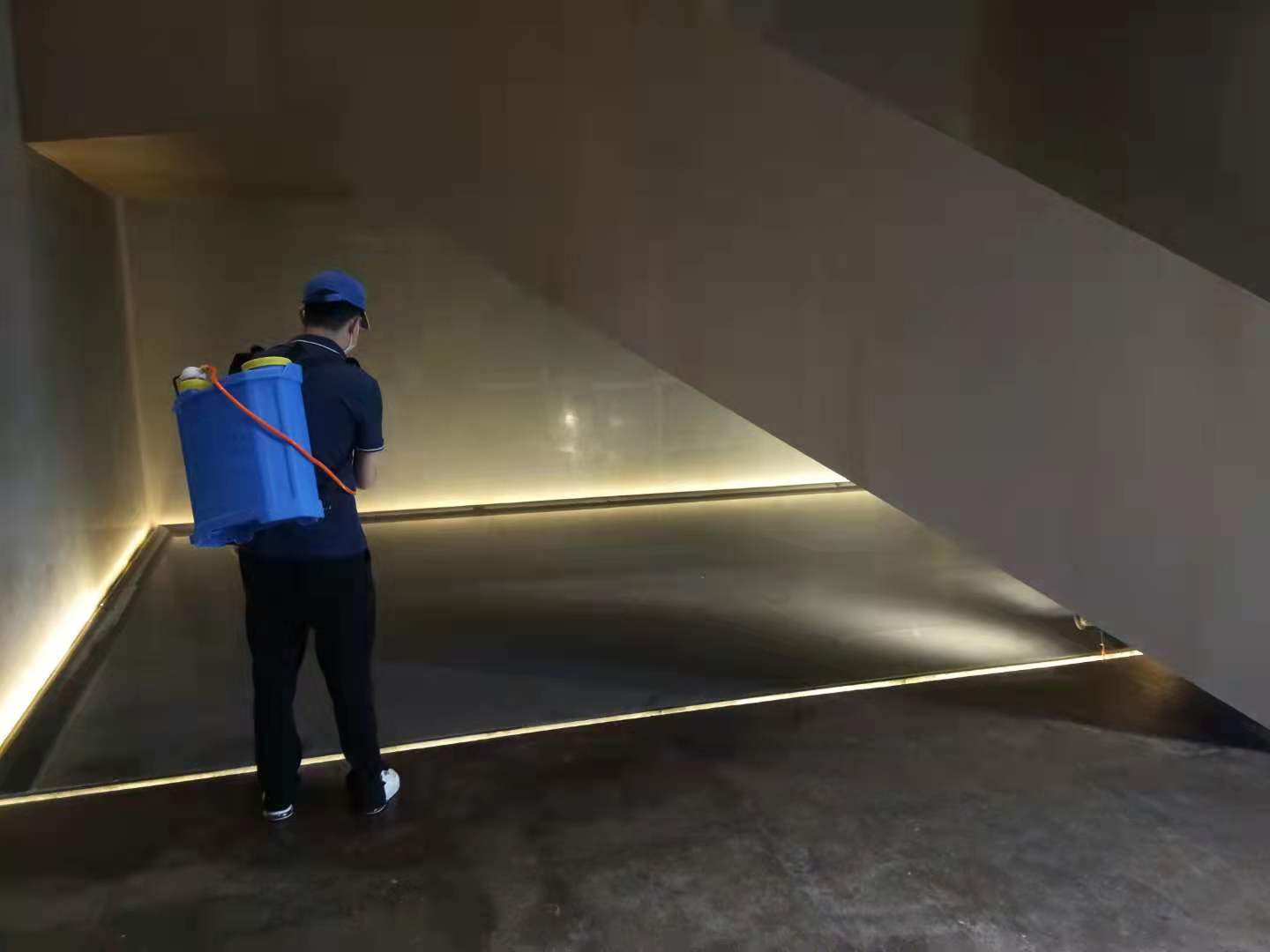 西安白蟻防治 萬徑滅白蟻，穩(wěn)健之力解蟲患