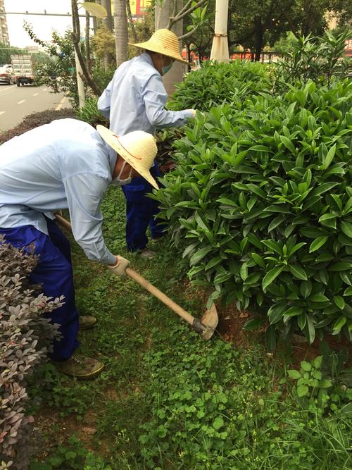 深圳市翔虹蟲害防治服務松崗A包 加強滅鼠，守護健康家園